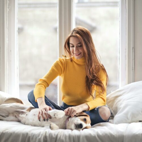 Jak długo żyją pchły w domu i jak je skutecznie zwalczyć